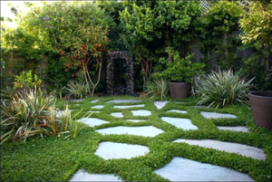 landscape-maintainance