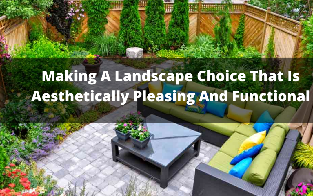 Making A Landscape Choice