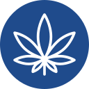 marijuana